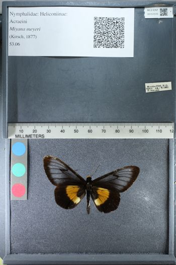 Media type: image;   Entomology 151510